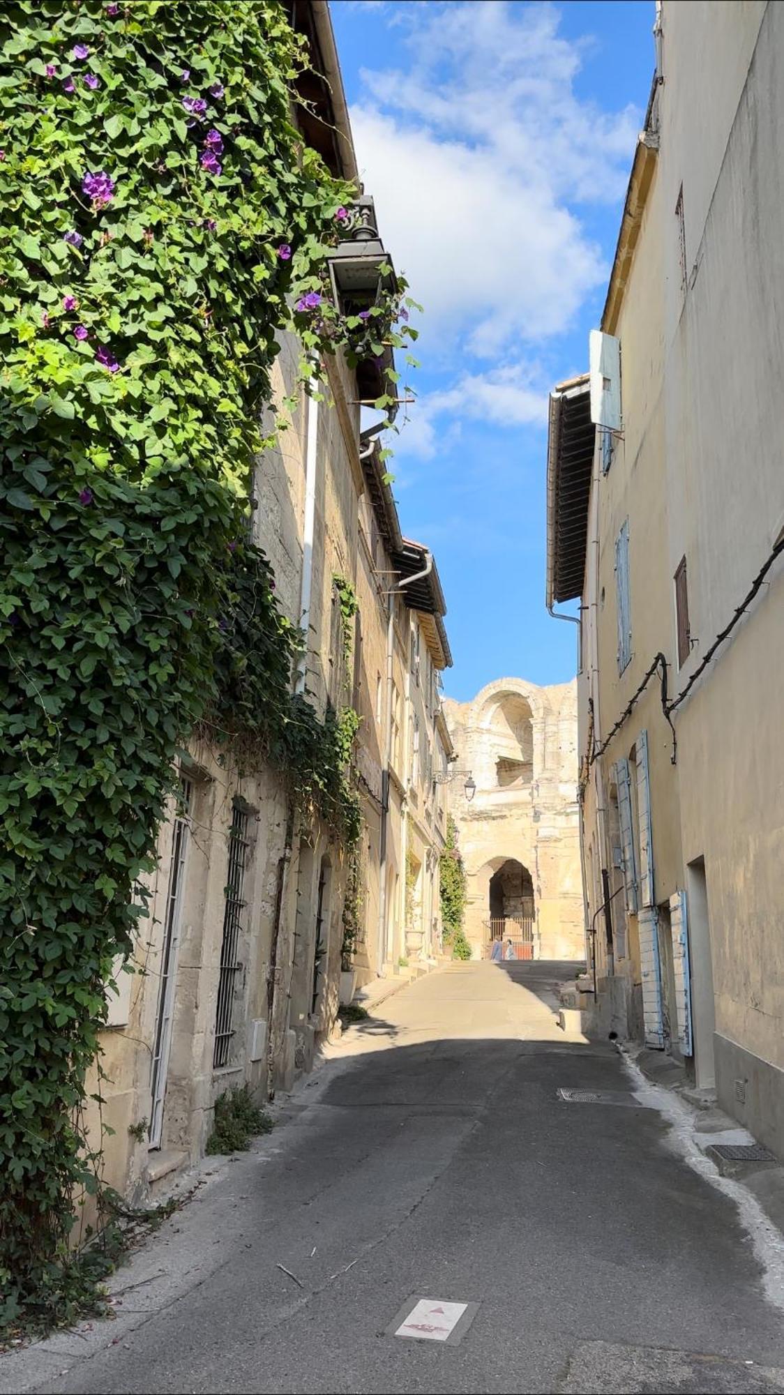 La Maison Des Hautures アルル エクステリア 写真